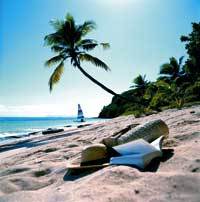 ein weißer Sandstrand, darauf liegen ein Buch und ein Strohhut, im Hintergrund ist eine Palme zu sehen 