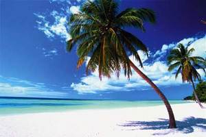 endloser Sandstrand, strahlend blauer Himmel, tuerikisfarbenes Wasser und Palmen der Karibik sind zu sehen 