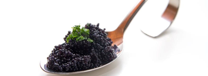Schwarzer Kaviar auf edlem Löffel