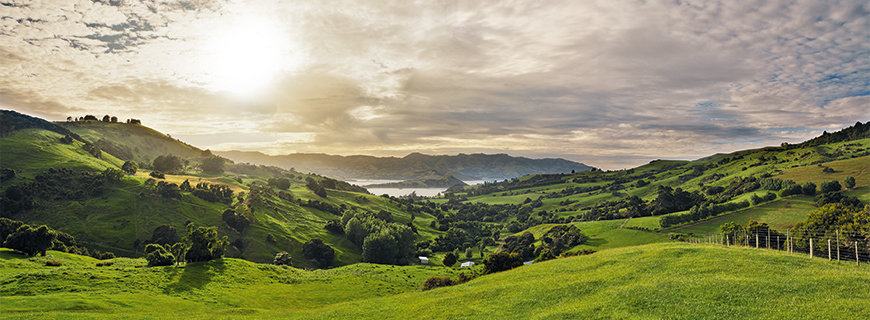 Neuseelands Landschaft