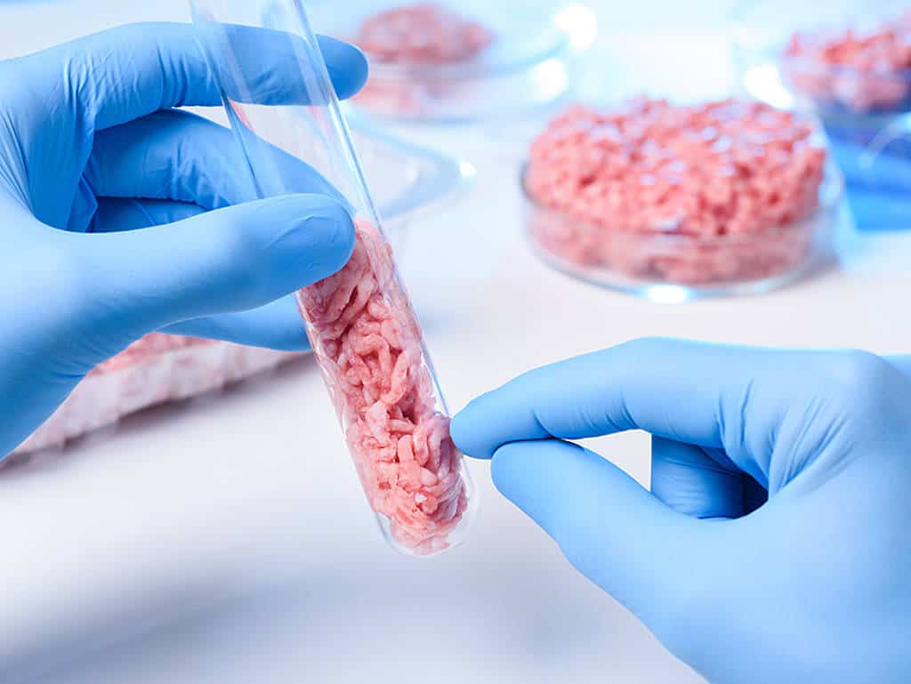 Fleisch aus dem Bioreaktor