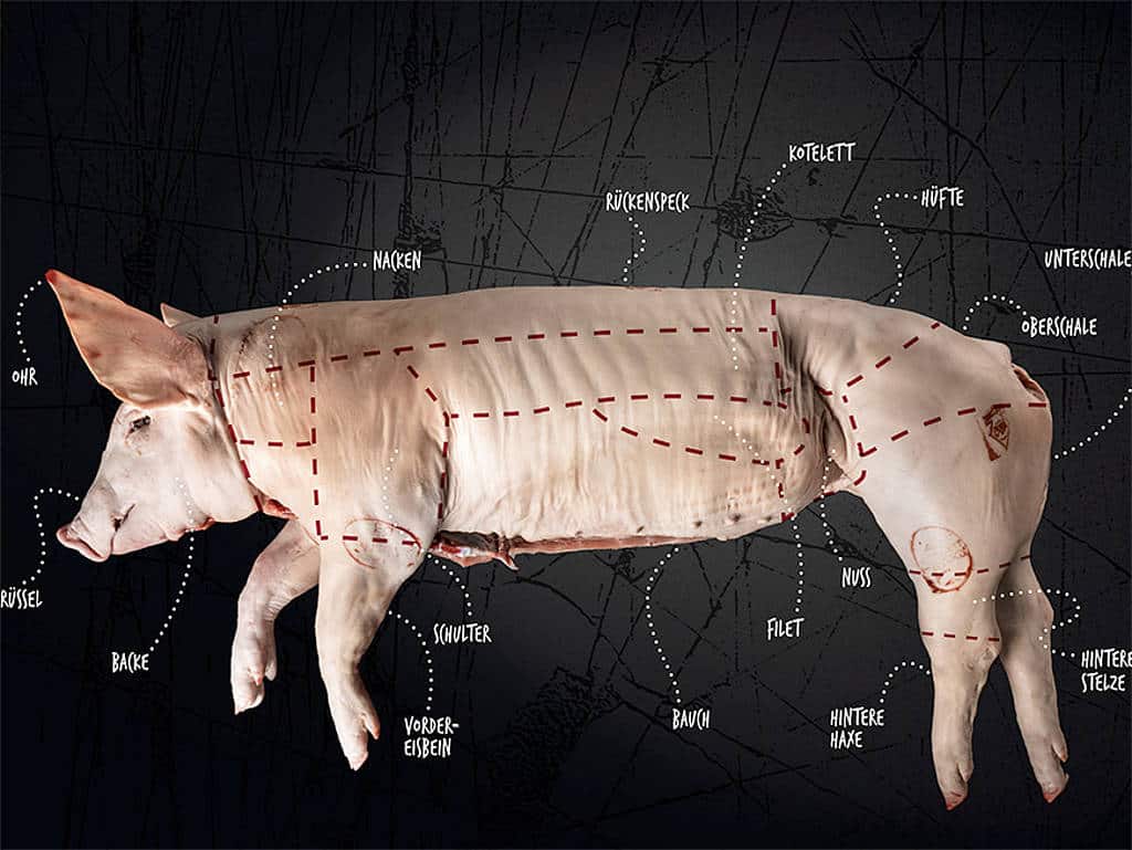 Die Teile vom Schwein