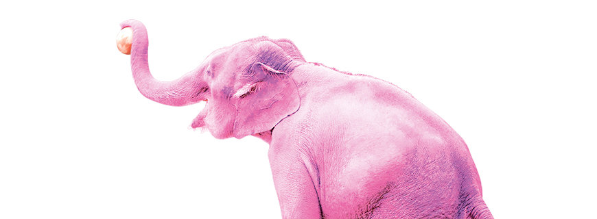 ein rosa Elefant hält einen Ball mit dem Rüssel 