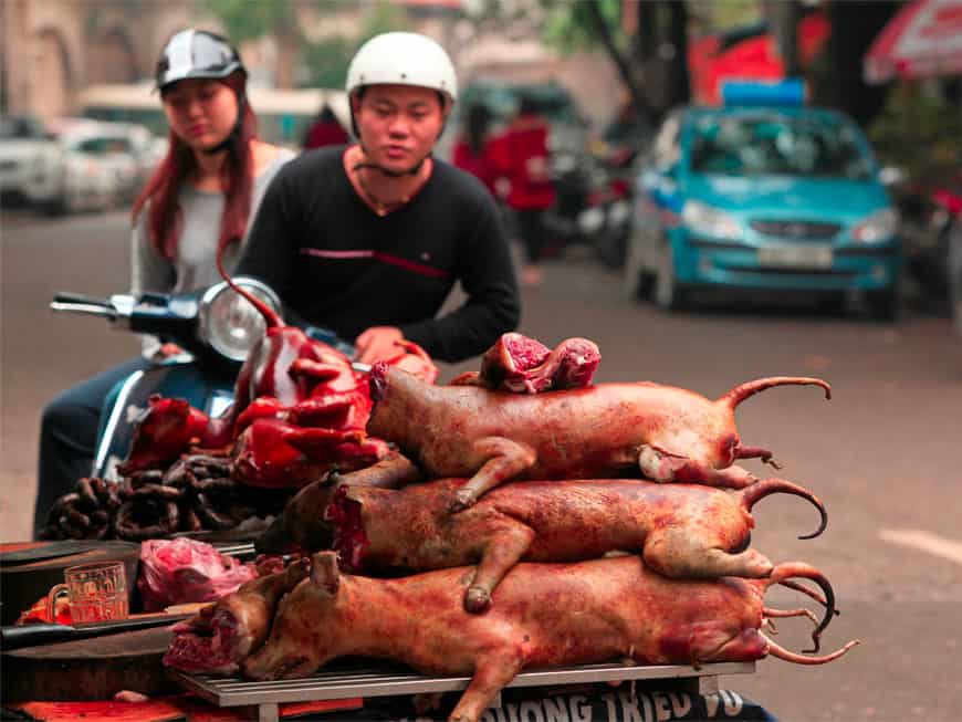 Ahnungslosen Touristen wird auf Bali Hundefleisch verkauft.