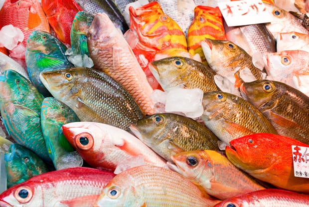 Tokios Fischmarkt Tsukiji