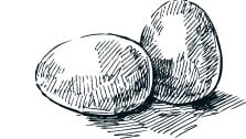 eine Skizze von einem Ei