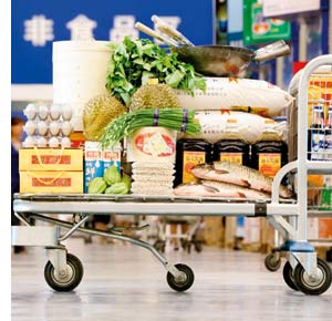 Logistische Meisterleistungen, ein Einkaufswagen, bepackt mit Massen von Lebensmitteln 