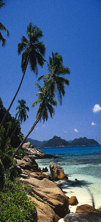 steinige küste, kristallklares wasser und saftig grüne palmen auf den seychellen 