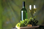 Flasche Weißwein aufgetischt mit Weintrauben auf einem Holzbrett 