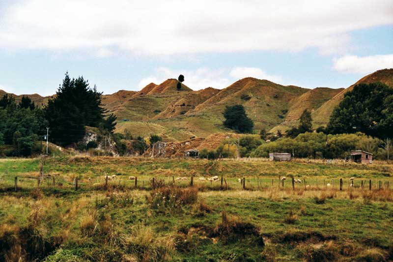 neuseeländische hügellandschaft getaucht in braune und grüne naturtöne 