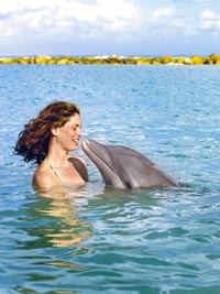 eine Frau schwimmt mit einem Delfin