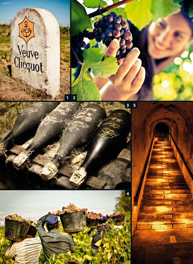 Weingärten von Veuve Clicquot Ponsardin