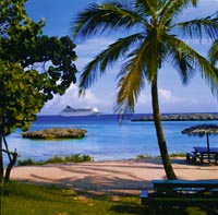 ein strahlend blauer Himmel, meterhohe Palmen, weißer Sandstrand und ein Kreuzfahrtschiff in der Ferne