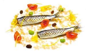 eine Kreation von Fisch aus dem Hotel Restaurant Troisgros