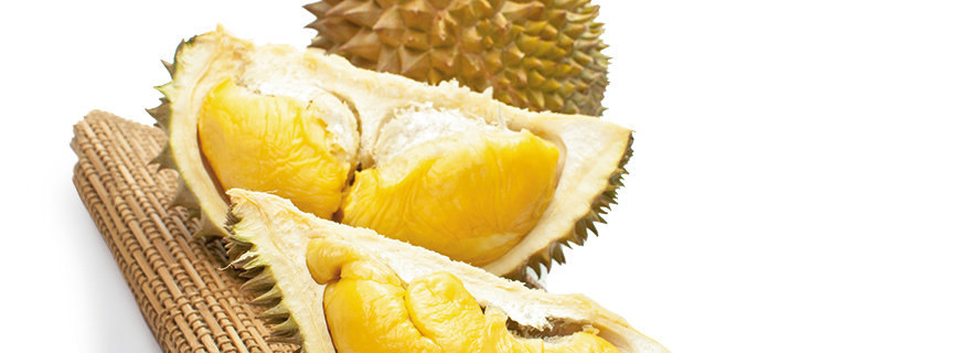 Durian-Frucht 