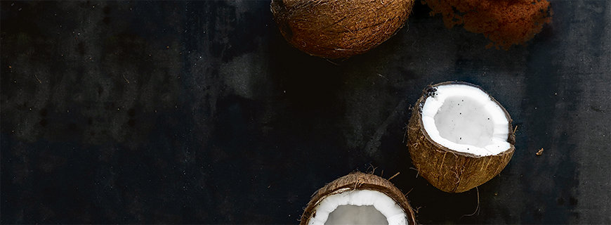 wie-schmeckt-eigentlich-kokosbluetenzucker-header