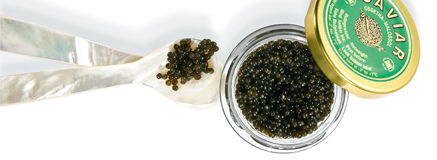 Wildfang- oder Zuchtkaviar