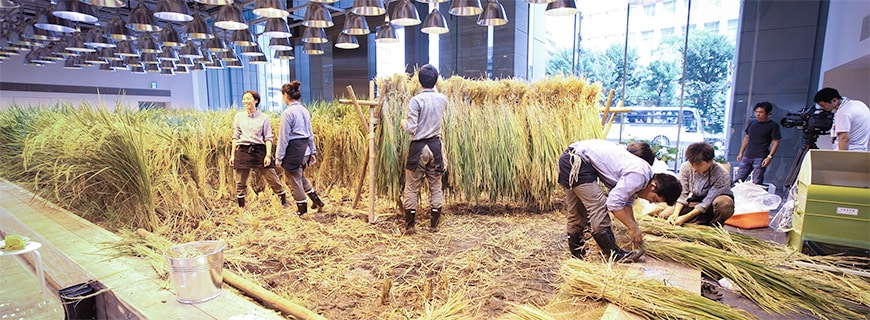 Arbeitsplatz- und Nahrungssicherung: Das Projekt Pasona Urban Farming soll nicht nur gesunde Lebensmittel hervorbringen, sondern auch Arbeitsplätze für die Menschen der Umgebung Tokios. Es ist das Aushängeschild für urbanen Gemüsebau in der asiatischen Metropole.