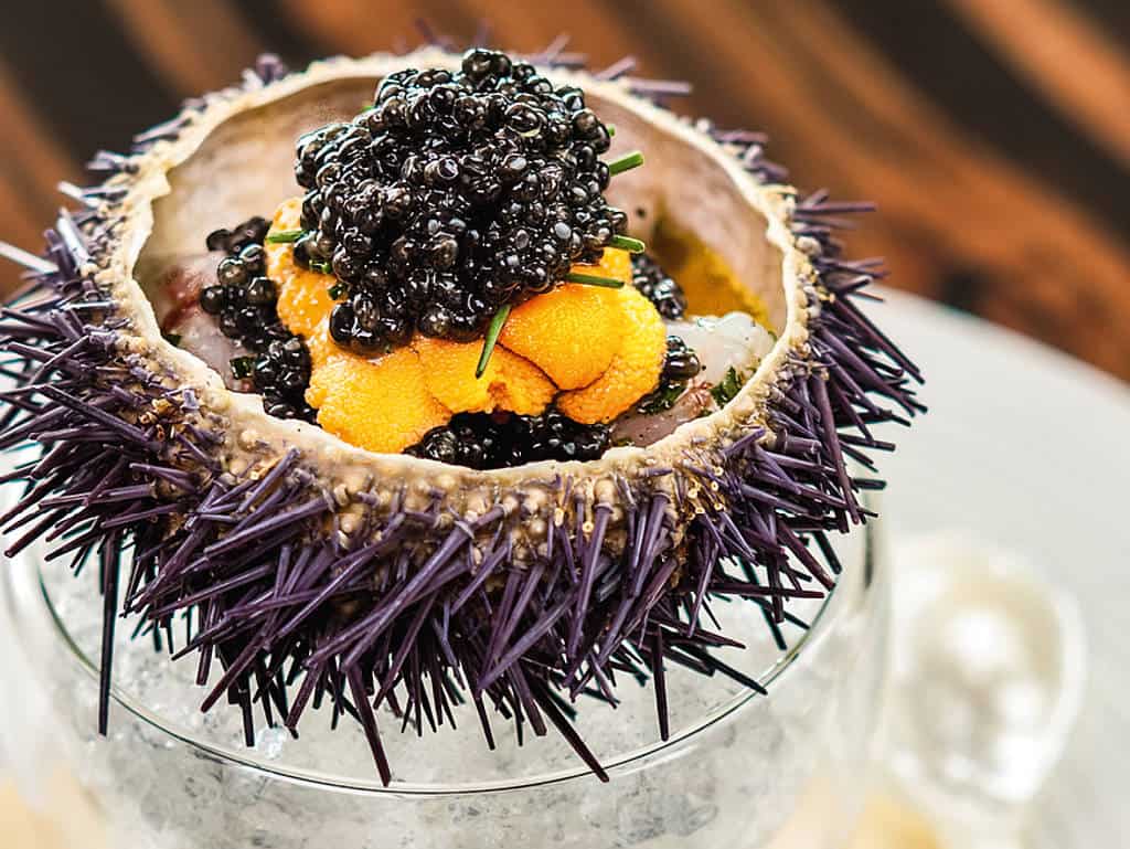 Das Beste des Meeres: In der Waku Ghin Bar steht marinierter Botan Schrimp mit Seeigel und Kaviar auf der Karte