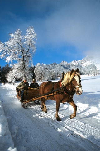 zwei Männer fahren mit einer Pferdekutsche durch den Schnee 