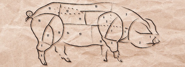 Schwein und seine Einzelteile